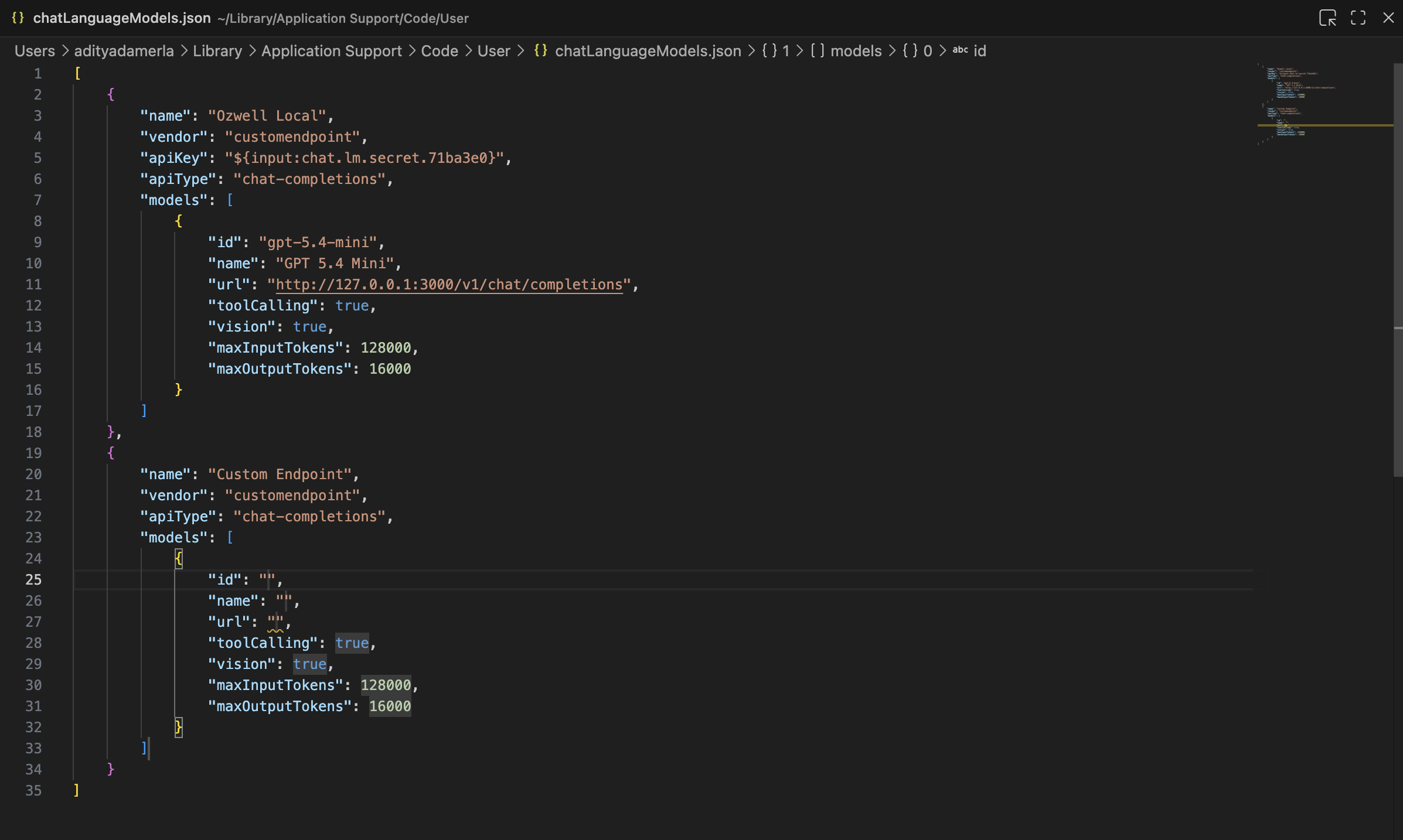 VS Code chatLanguageModels.json custom endpoint config